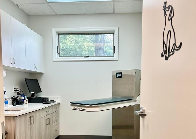 Carousel Slide 7: Exam Room, Learn more about pet wellness exams >>