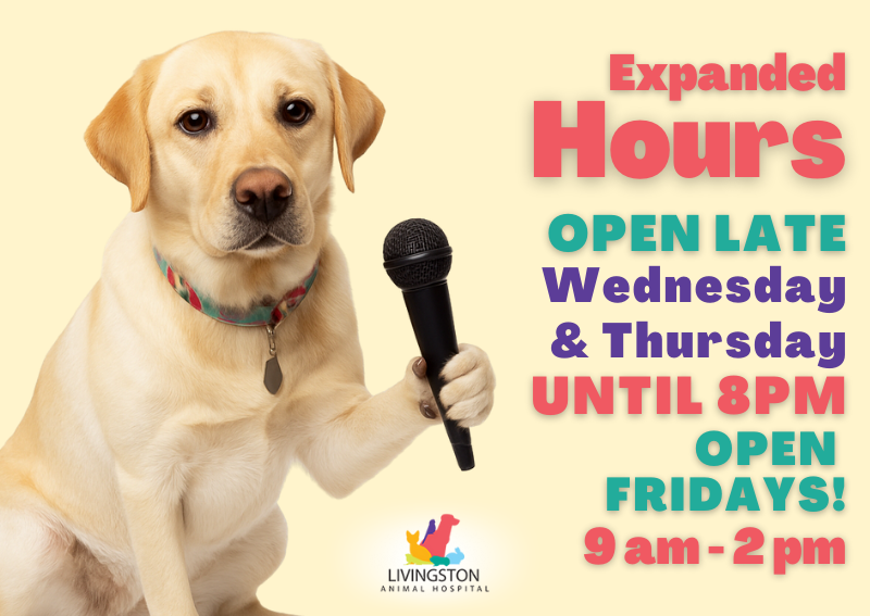 Carousel Slide 1: View our hours >>