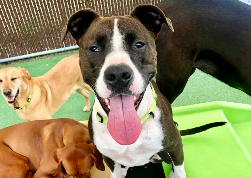 Carousel Slide 8: Excited to visit us? Click here for our new client form >>