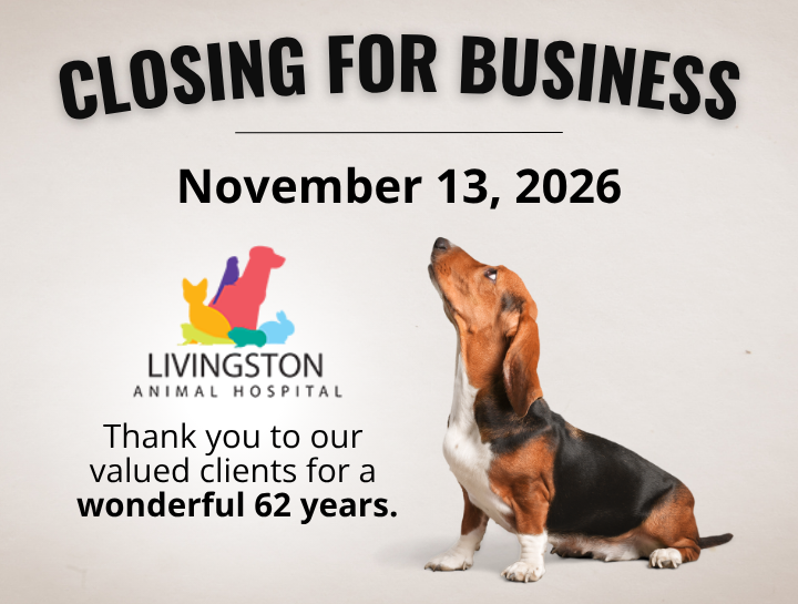 An Important Update from Livingston Animal Hospital